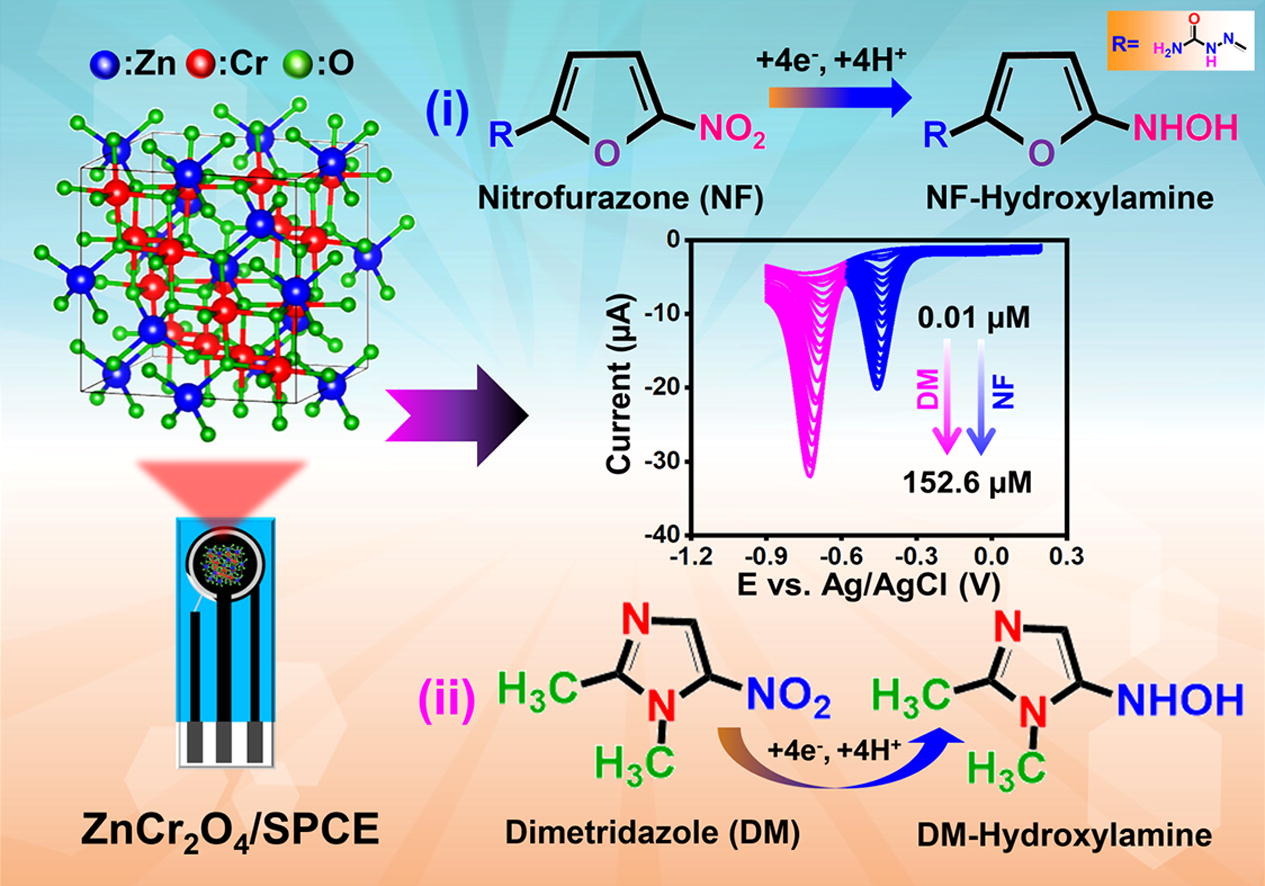 Versatile deep eutectic solvent assisted synthesis of ZnB2O4 (B = Al, Co, Cr) spinels: The effect of B site variants for comparing the bifunctional electrochemical sensing application