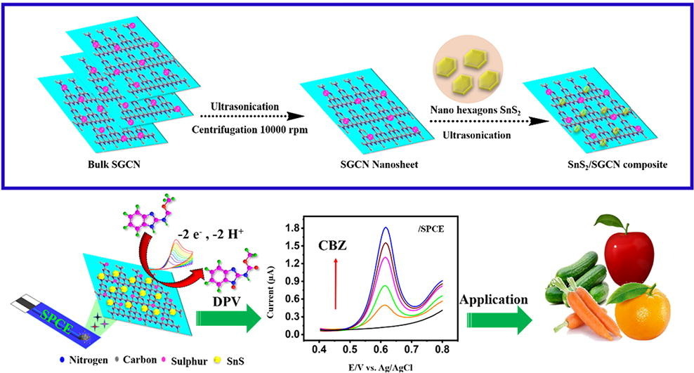 Synergetic combination of nano hexagons SnS2/Sulfur substituted graphitic carbon nitride: Evaluation of electrochemical sensor for the agricultural pollutant in environmental samples