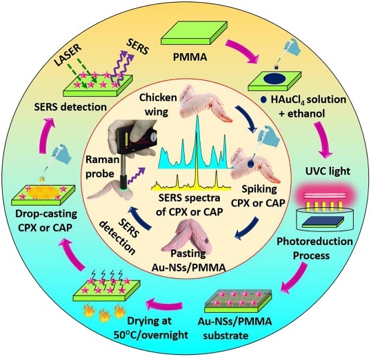 Photochemical synthesis of Au nanostars on PMMA films by ethanol action as flexible SERS substrates for in-situ detection of antibiotics on curved surfaces