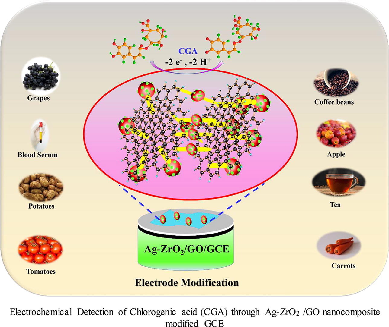 A portable advanced electrocatalyst for polyphenolic chlorogenic acid evaluation in food samples