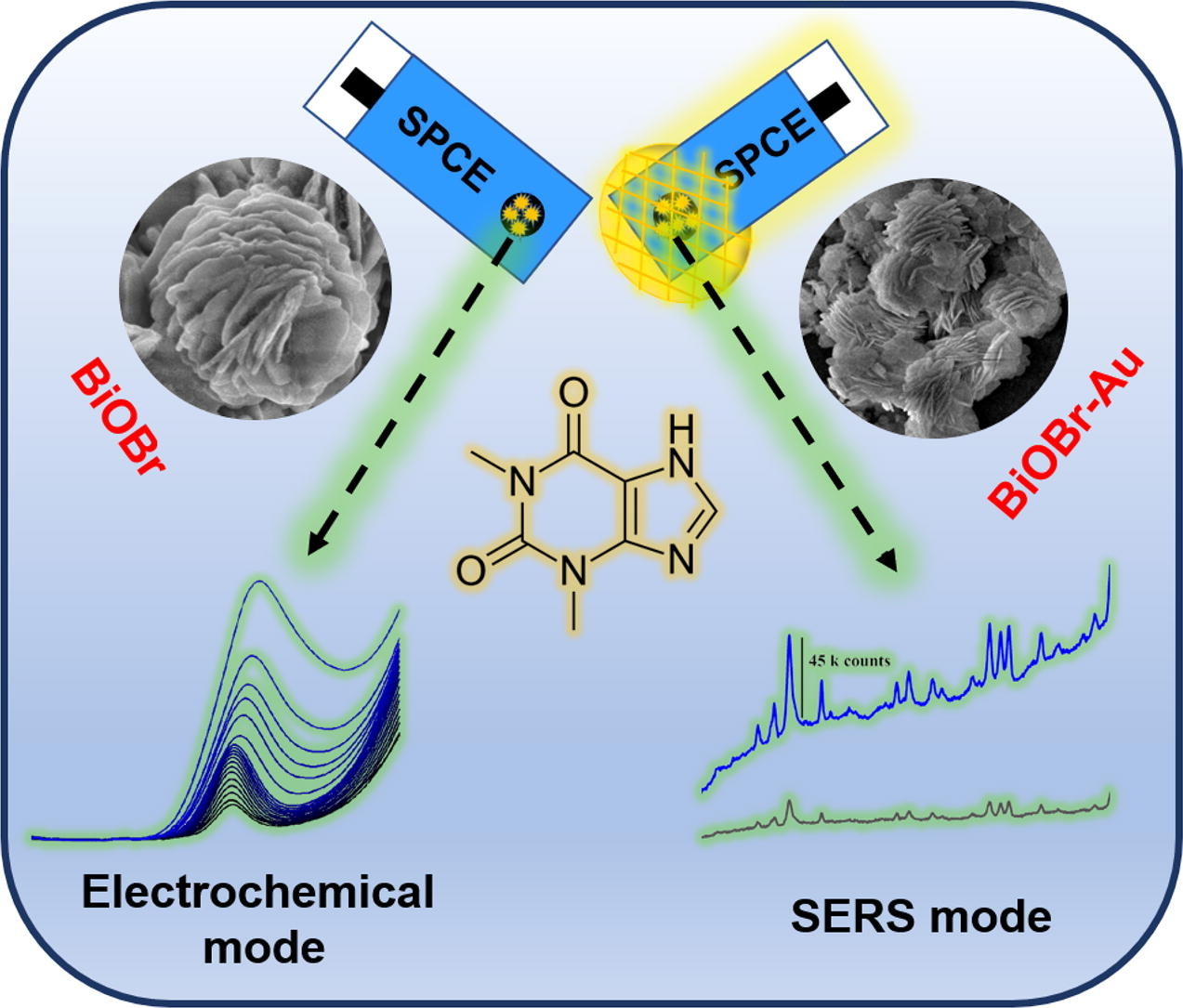 High-performance catalytic strips assembled with BiOBr Nano-rose architectures for electrochemical and SERS detection of theophylline