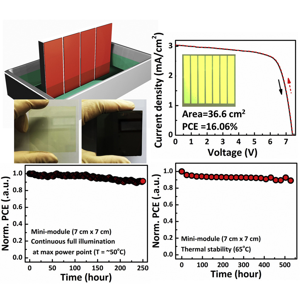 A simple one-step method with wide processing window for high-quality perovskite mini-module fabrication