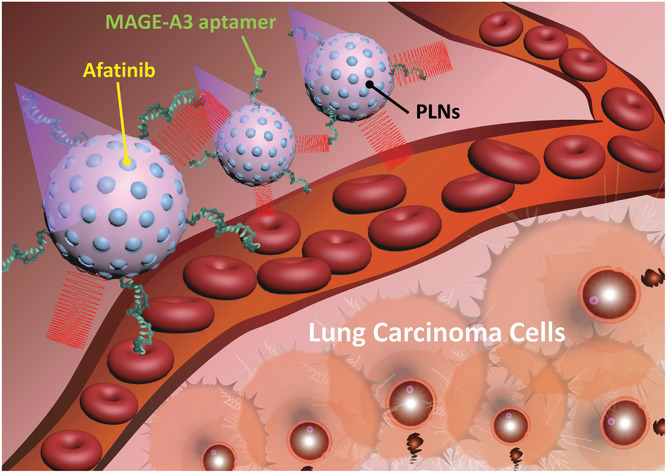 Next-Generation Cancer-Specific Hybrid Theranostic Nanomaterials: MAGE-A3 NIR Persistent Luminescence Nanoparticles Conjugated to Afatinib for In Situ Suppression of Lung Adenocarcinoma Growth and Metastasis
