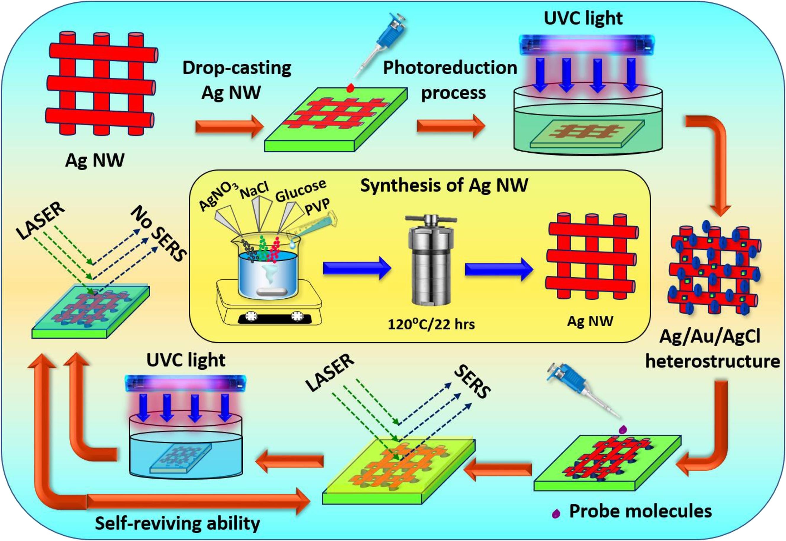 Photochemical synthesis of Ag/Au/AgCl heterostructure from Ag nanowires as a reusable SERS substrate for ultrasensitive detection of analgesics and antibiotics