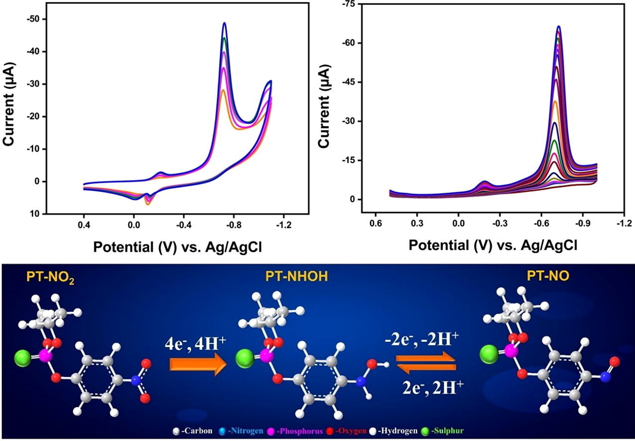 Construction of nickel cobalt-layered double hydroxide/functionalized–halloysite nanotubes composite for electrochemical detection of organophosphate insecticide