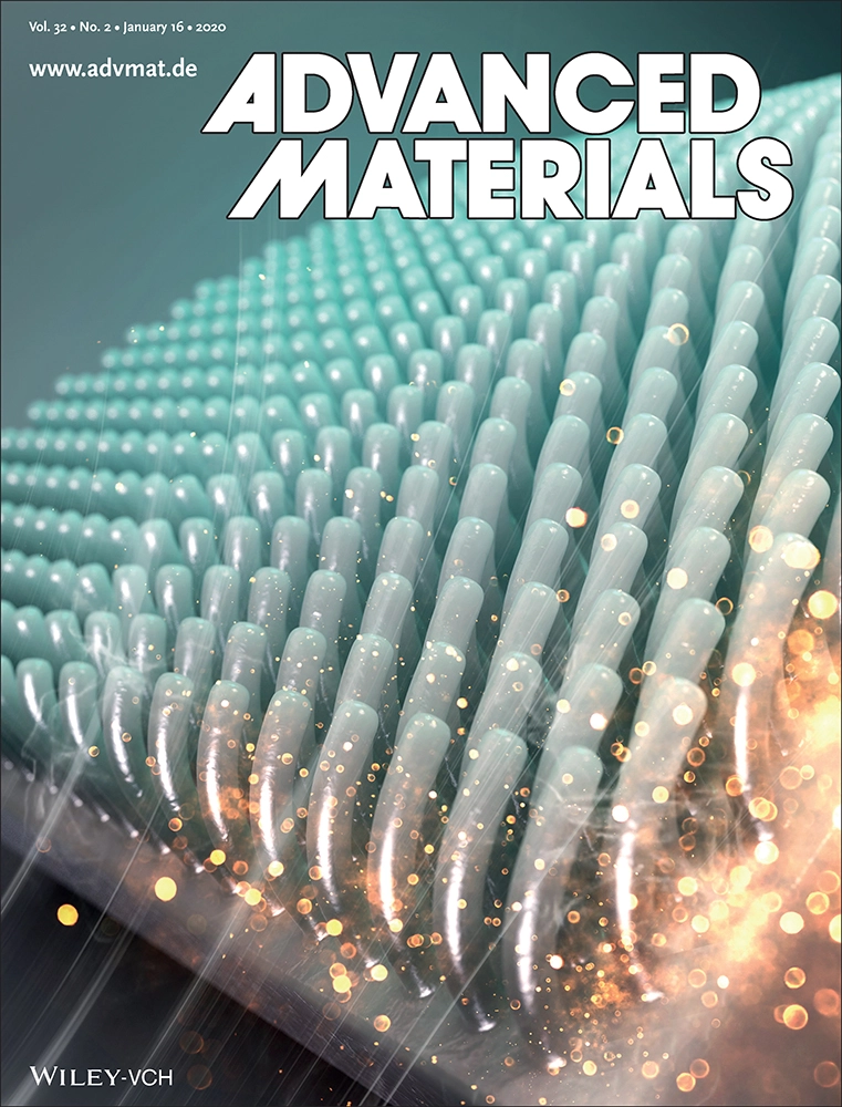 Advanced Materials Volume32, Issue2  January 16, 2020  1904634