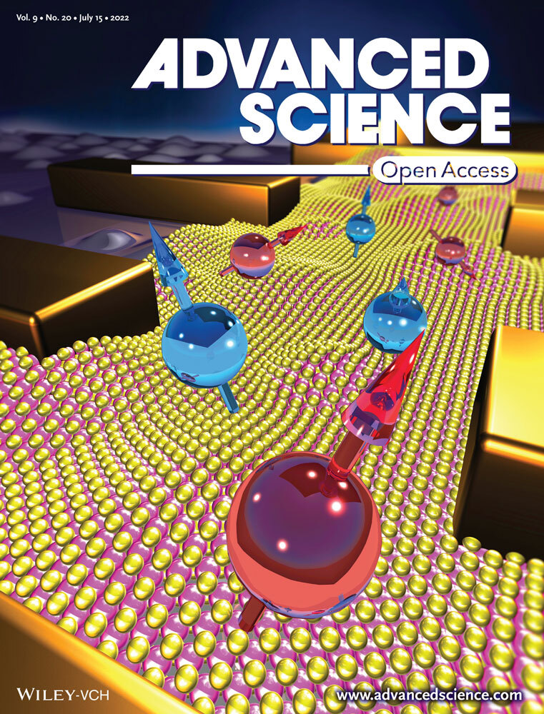 Advanced Science Volume 9, Issue 20 July 15, 2022, 2201353