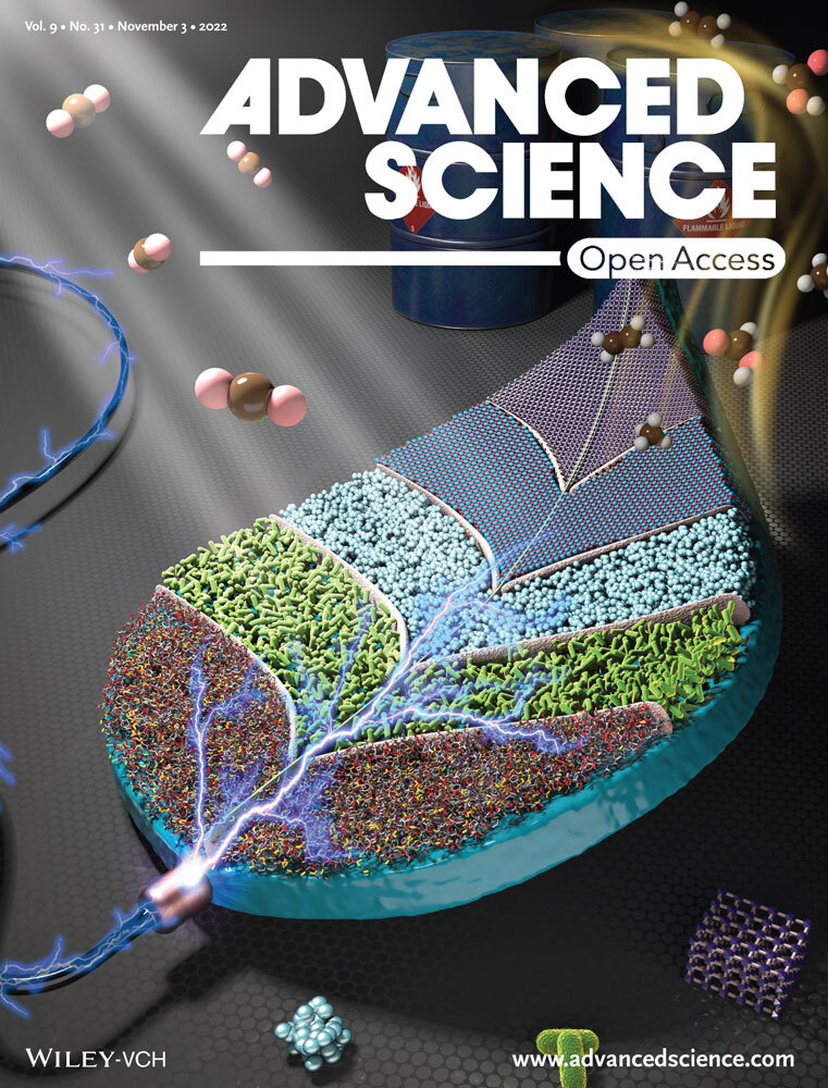 Advanced Science Volume 9, Issue 313 November 2022 Article number 2203025