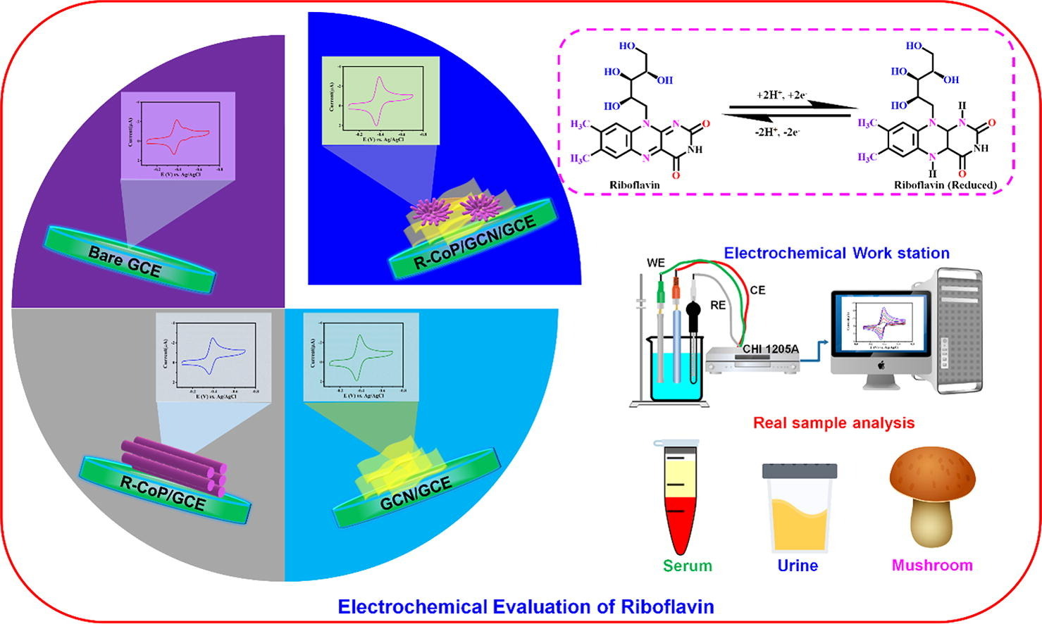 A portable Ru-decorated cobalt phosphide on graphitic carbon nitride sensor: An effective electrochemical evaluation method for vitamin B2 in the environment and biological samples