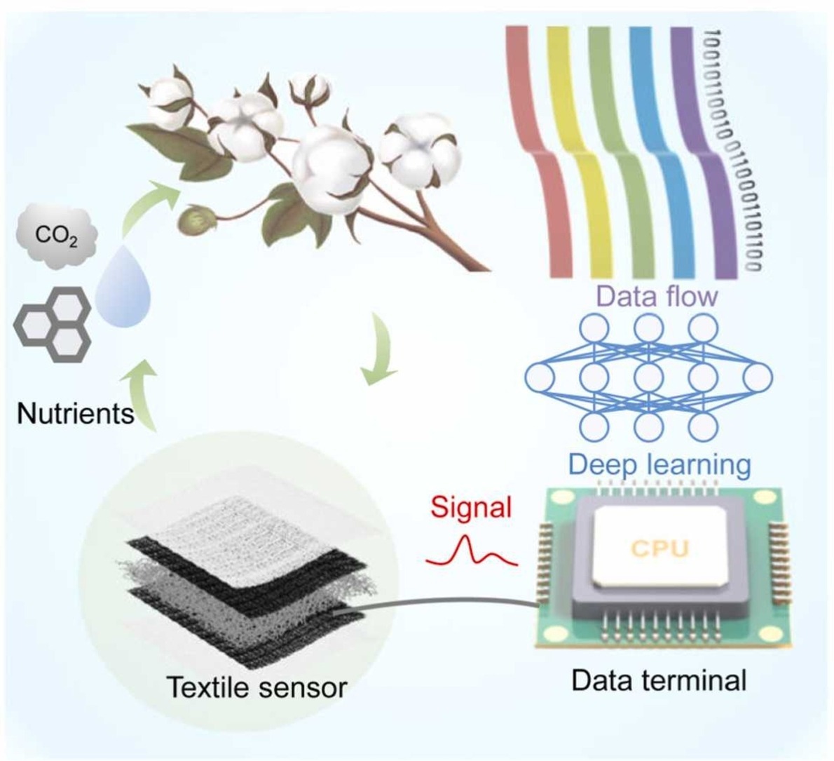 Artificial intelligence enabled biodegradable all-textile sensor for smart monitoring and recognition
