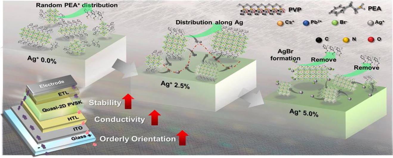 Crystal orientation and insulating ligand of quasi-two dimensional perovskite optimized through silver ion doping for realizing efficient light emitting diodes