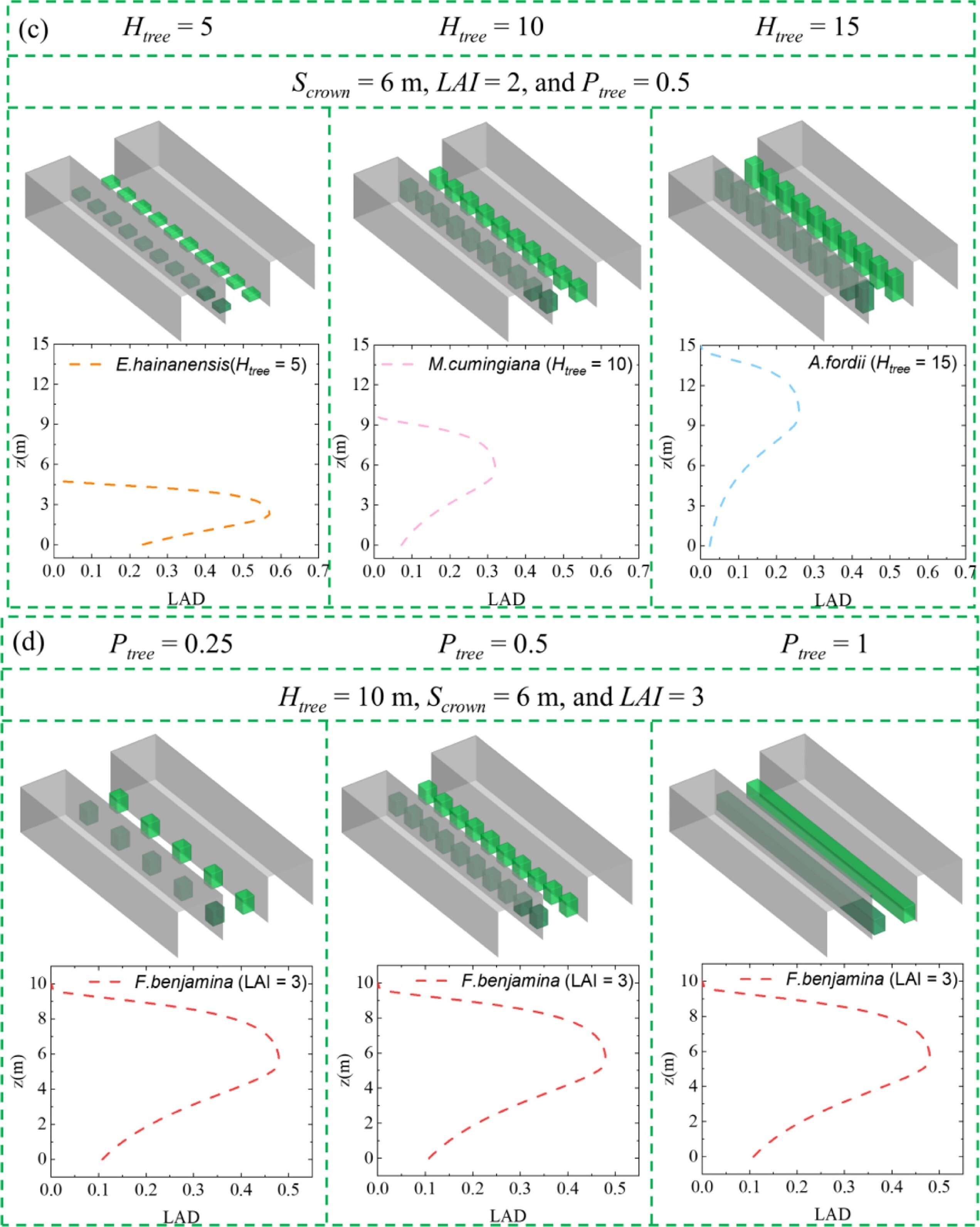 Fig. A1. Different configurations of trees inside the street canyon: (c) Different tree height, and (d) Different tree planting density.