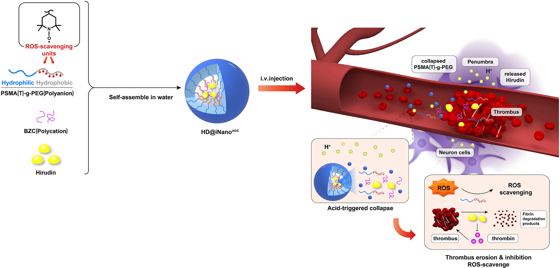 Fig. 1. Graphical abstract.