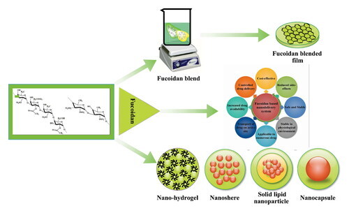 Fucoidan-based nanomaterial and its multifunctional role for pharmaceutical and biomedical applications