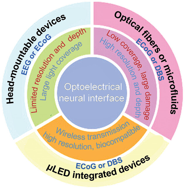 Illuminating the Brain: Advances and Perspectives in Optoelectronics for Neural Activity Monitoring and Modulation