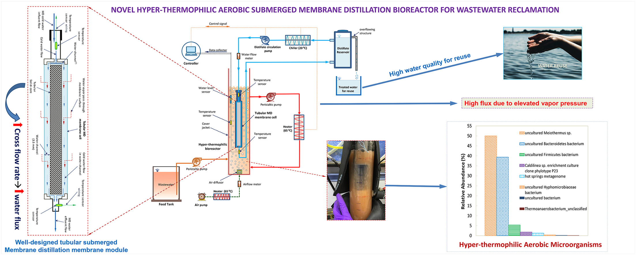 Graphical abstract.