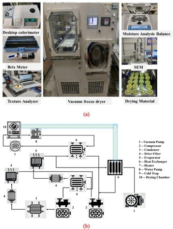 Fig. 1. Experimental setup and its related components (a) original diagram and (b) simplified representation.