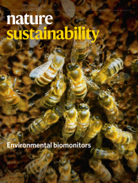 Nature Sustainability volume 3, p.399–405 (2020)