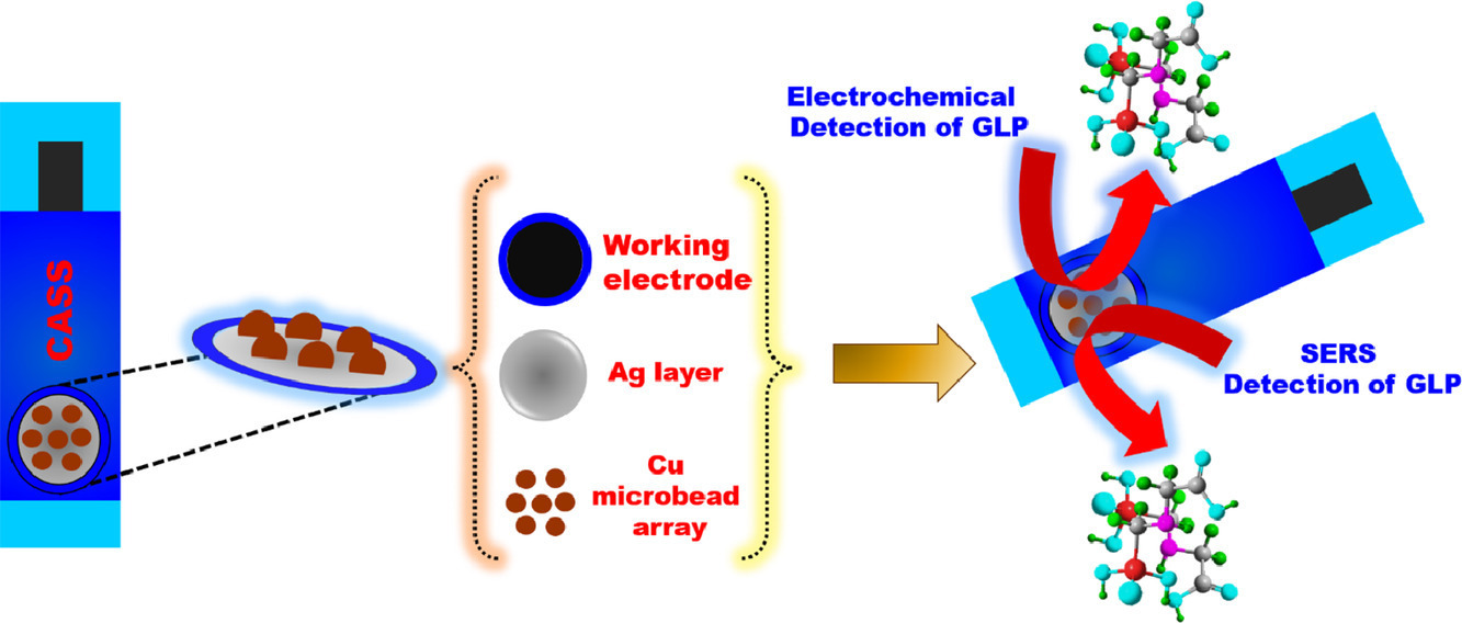 Periodic copper microbead array on silver layer for dual mode detection of glyphosate