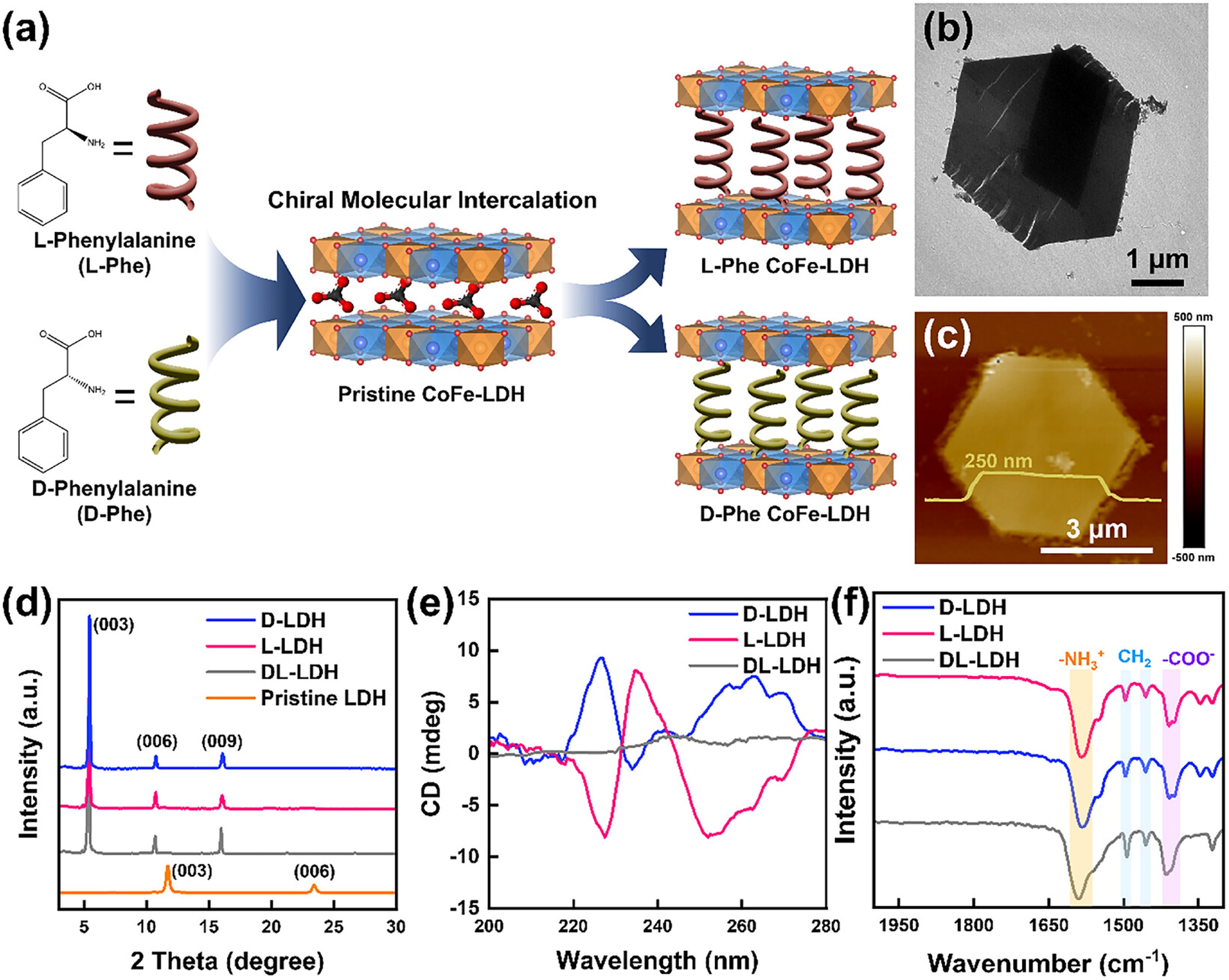 FIGURE 1(a) Scheme diagram of chiral molecular intercalation from pristine CoFe‐LDH to chiral CoFe‐LDH. (b) TEM image and (c) AFM image of DL‐LDH. (d) XRD patterns of pristine, DL‐, D‐, and L‐LDH. (e) CD spectra and (f) FTIR spectra of DL‐, D‐, and L‐LDH.