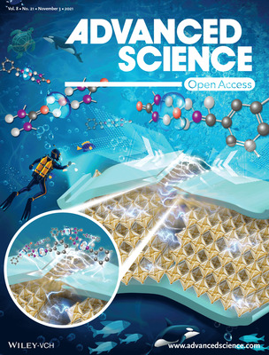 Super Tough and Spontaneous Water-Assisted Autonomous Self-Healing Elastomer for Underwater Wearable Electronics