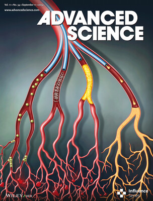 Rationally Improved Surface Charge Density of Triboelectric Nanogenerator with TiO2-MXene/Polystyrene Nanofiber Charge Trapping Layer for Biomechanical Sensing and Wound Healing Application